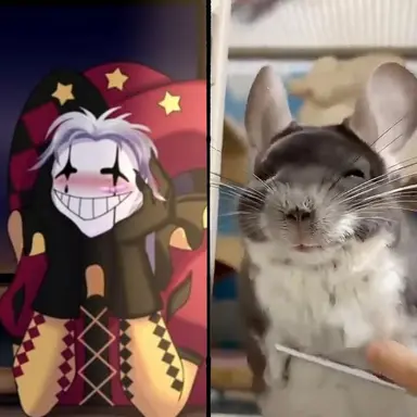 Profile image of pierrot