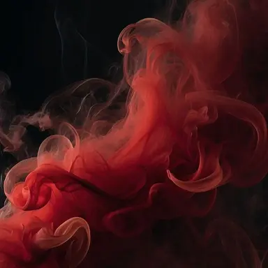 Profile image of 은호