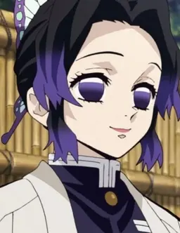 Profile image of 胡蝶 しのぶ