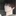 楓