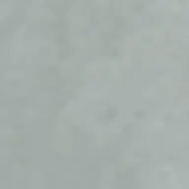 Profile image of 이채원