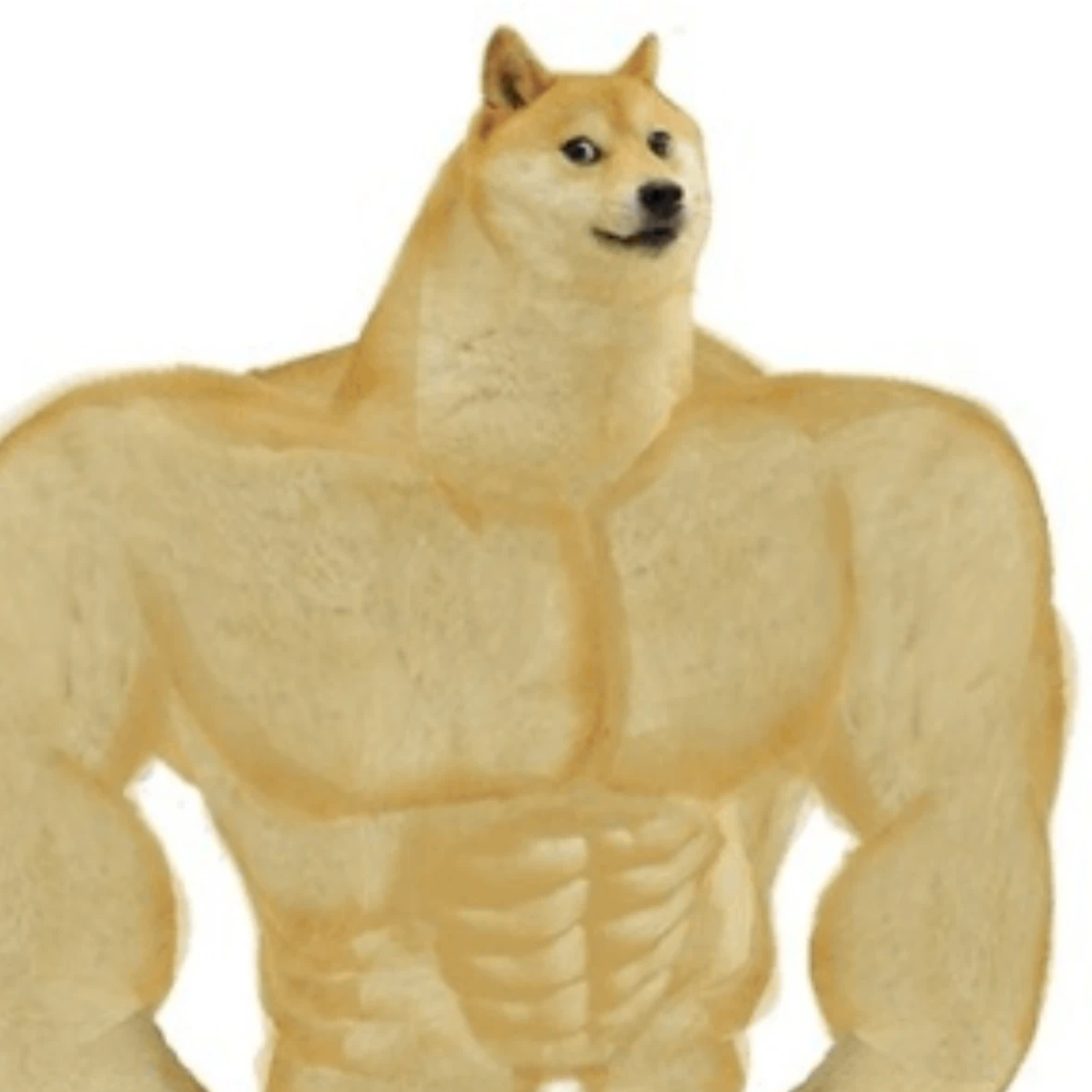 쁴쁴