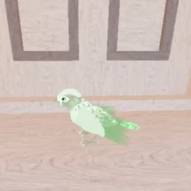 Profile image of 페를리