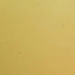 Profile image of ジュニ