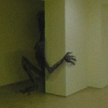 Profile image of Corner Crawler