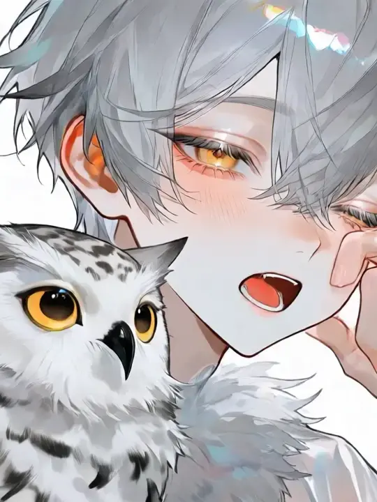 JollyLynx3989의 おっとり梟系男子を進級させよう！