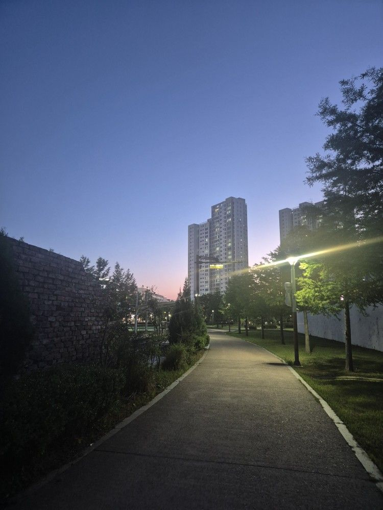 갠용 대표 이미지