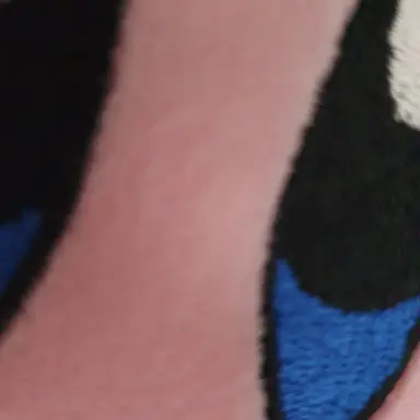 Profile image of 여우