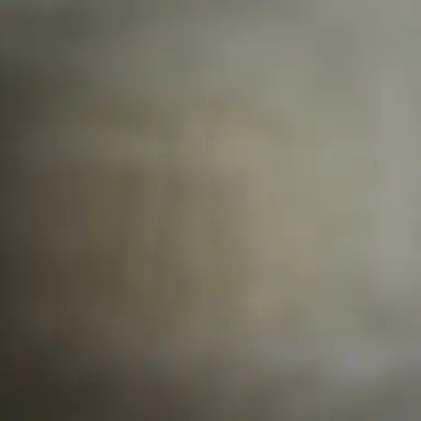 Profile image of NULL