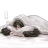 Profile image of 권하선