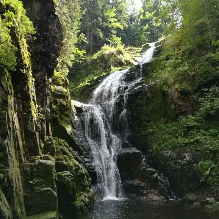 ThickStudy0096의 동물들 생활