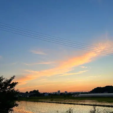 Profile image of 이리오