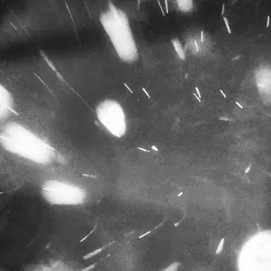 Profile image of 서대길