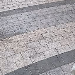 쿠빈 동생 대표 이미지