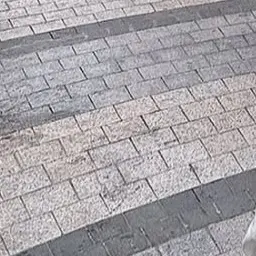 Profile image of 쿠빈