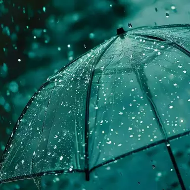 Profile image of 黛灰