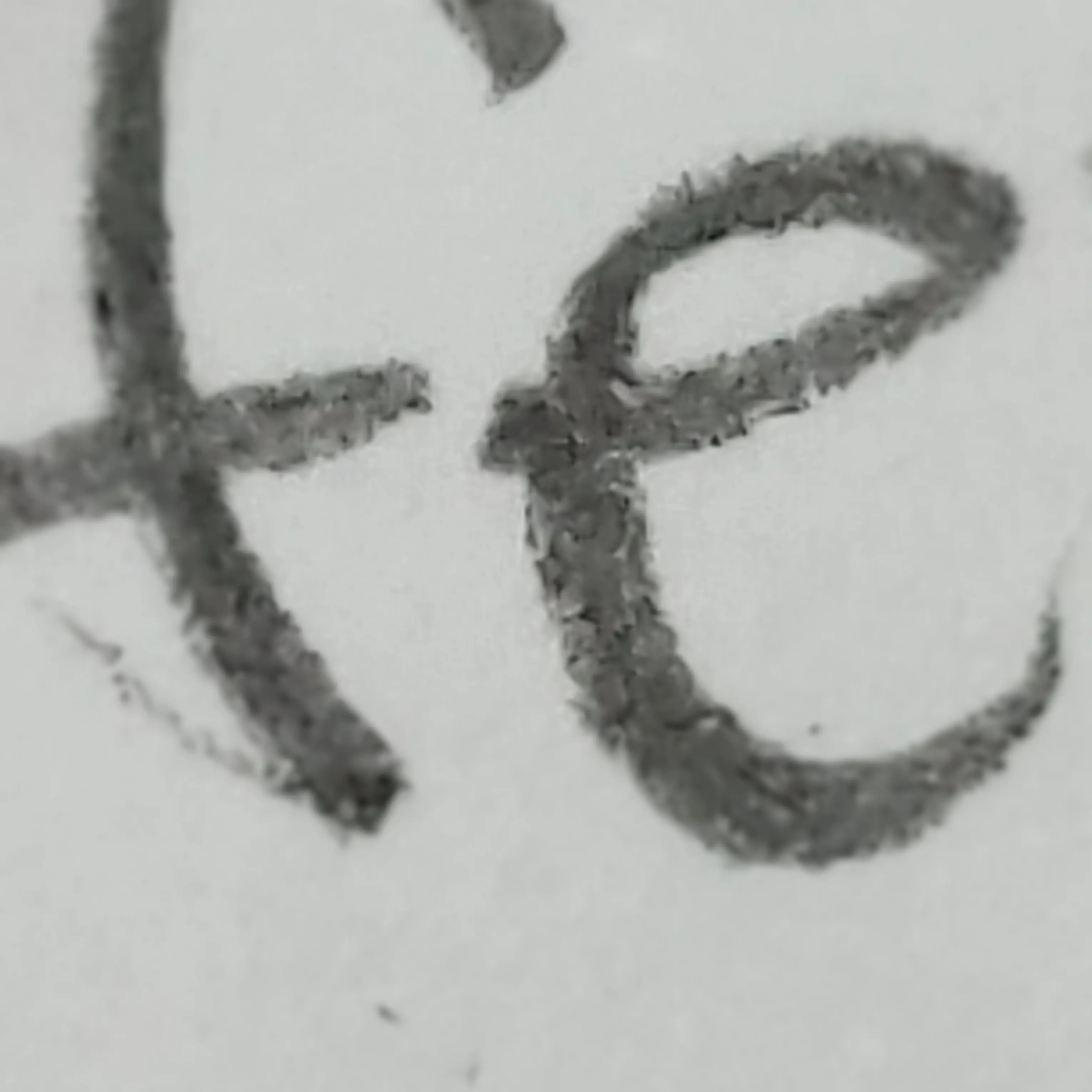 RowdyDull6694의 쿠도 신이치