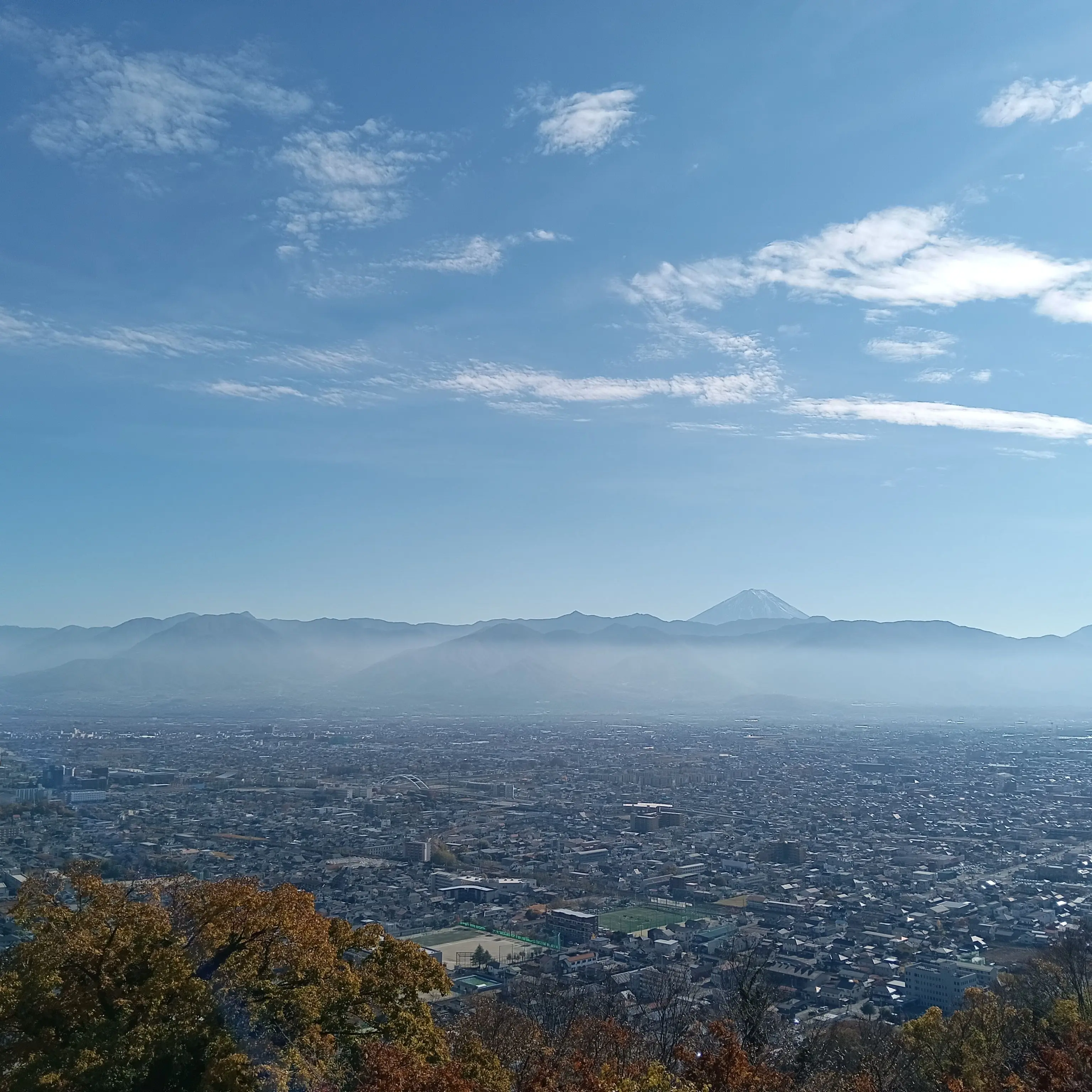 sachi515의 ライバル
