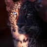 Profile image of Rafael