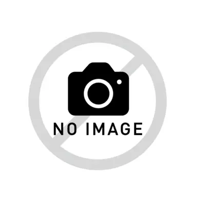 Profile image of ミカミ