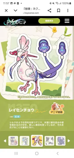 Profile image of キャップラゲ