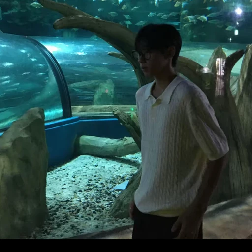 이수현