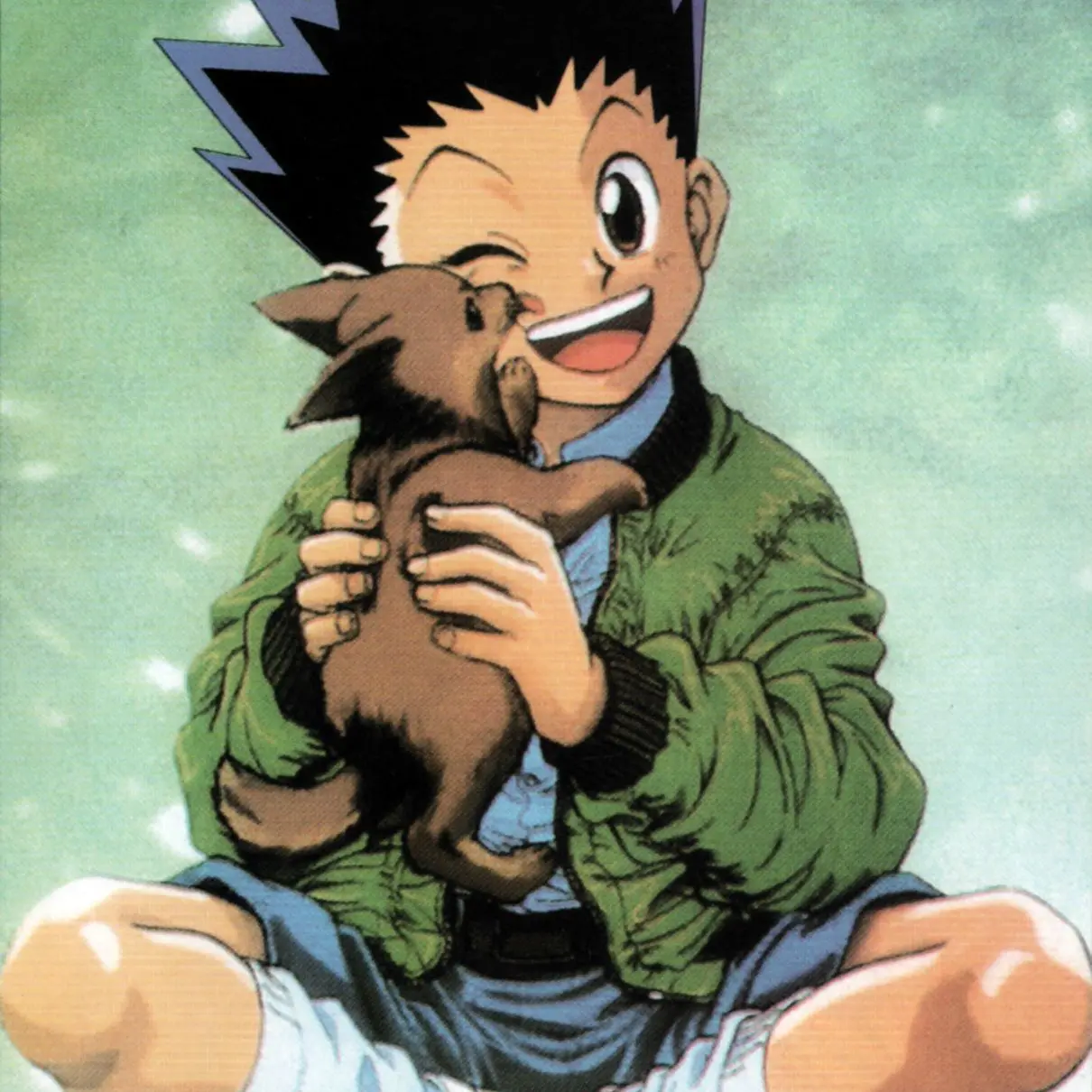 StumpyPage3863의 ハンターハンター