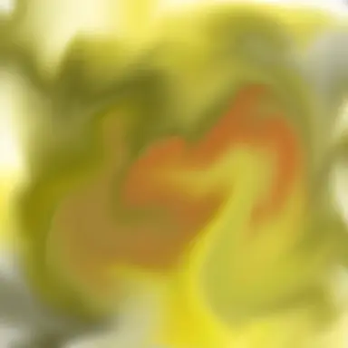 Profile image of 렌지