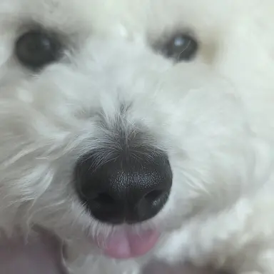 Profile image of 추호빈