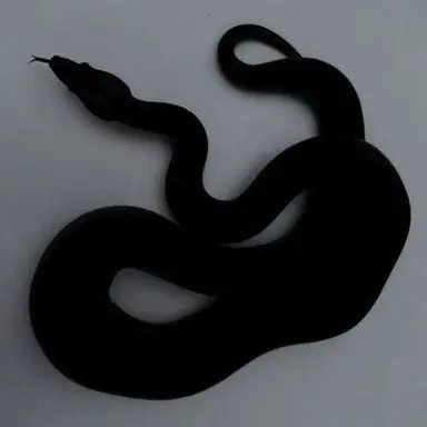 Profile image of Uyung
