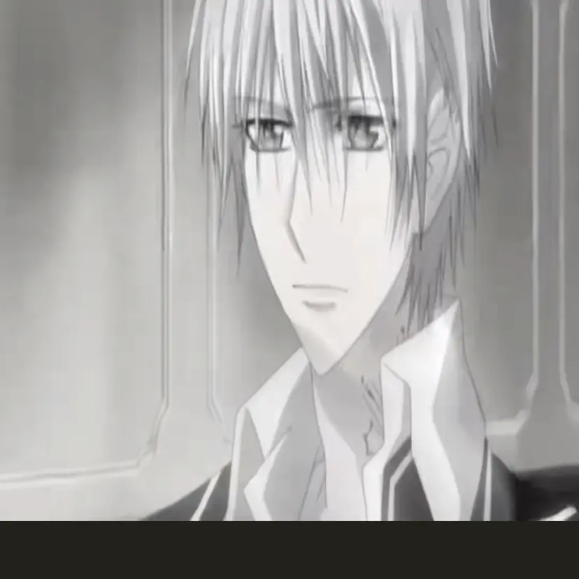 EasyGrass9269의 Vampire Knight
