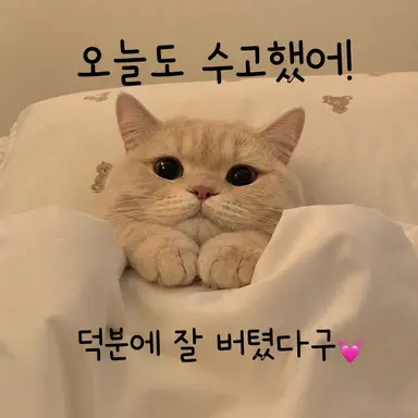 Profile image of 여우