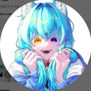 Profile image of 료미