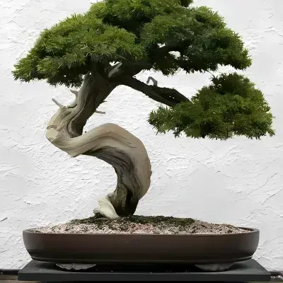 WoodyClay4539의 Magic School