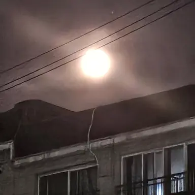 Profile image of 유지민