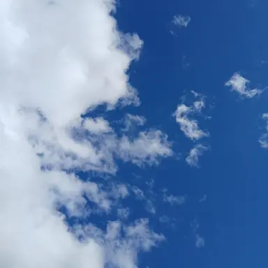 Profile image of 김수현