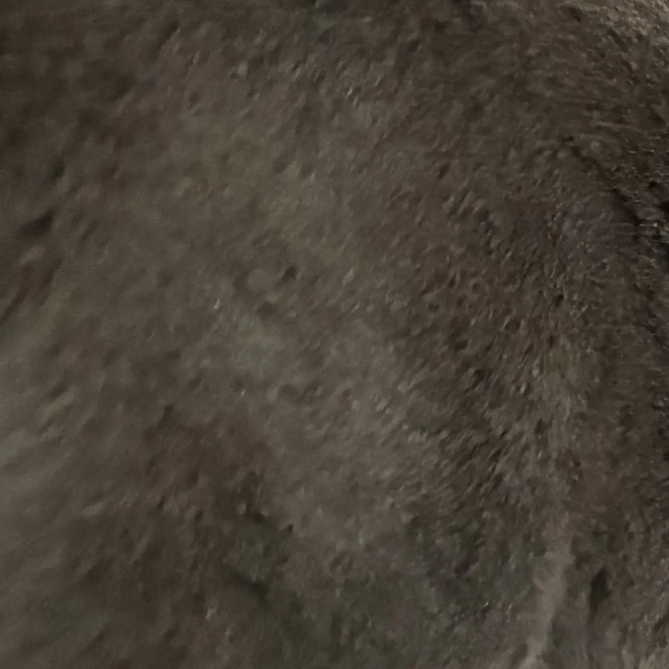 RainyOptic7150의 シスコンお兄ちゃん