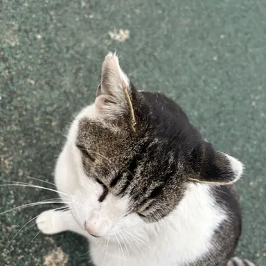 Profile image of 이동혁