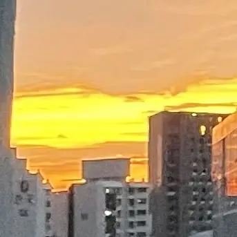 Profile image of 하루토