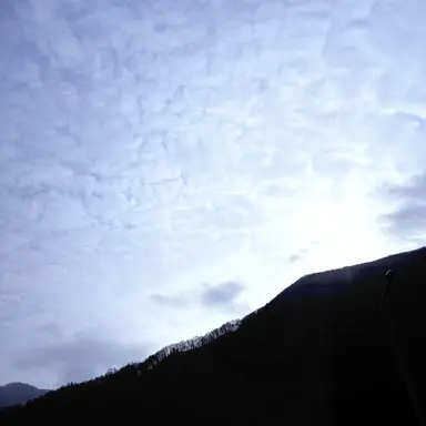 Profile image of 연이