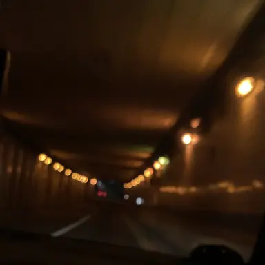 Profile image of 루이쨘