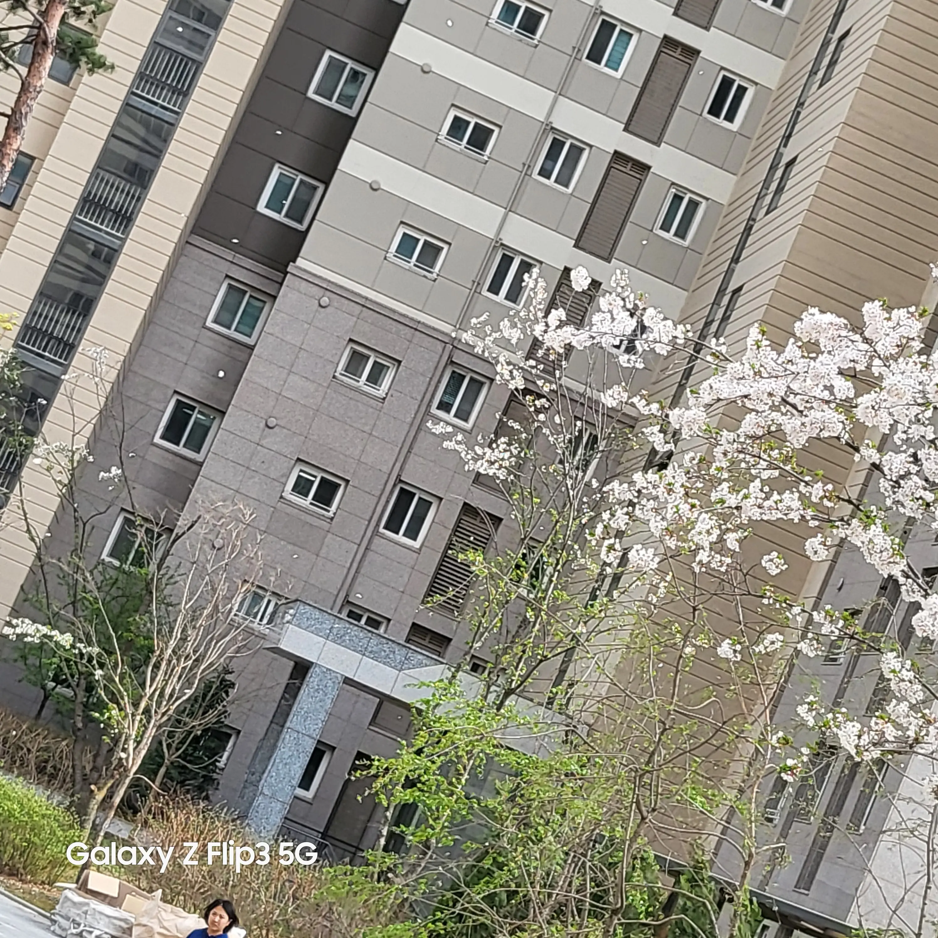 SassyPress8742의 뜰팁