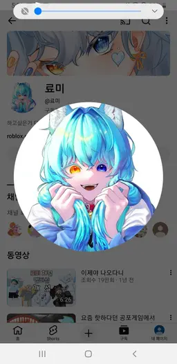 Profile image of 료미