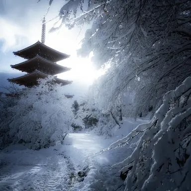 Profile image of 반 친구 K