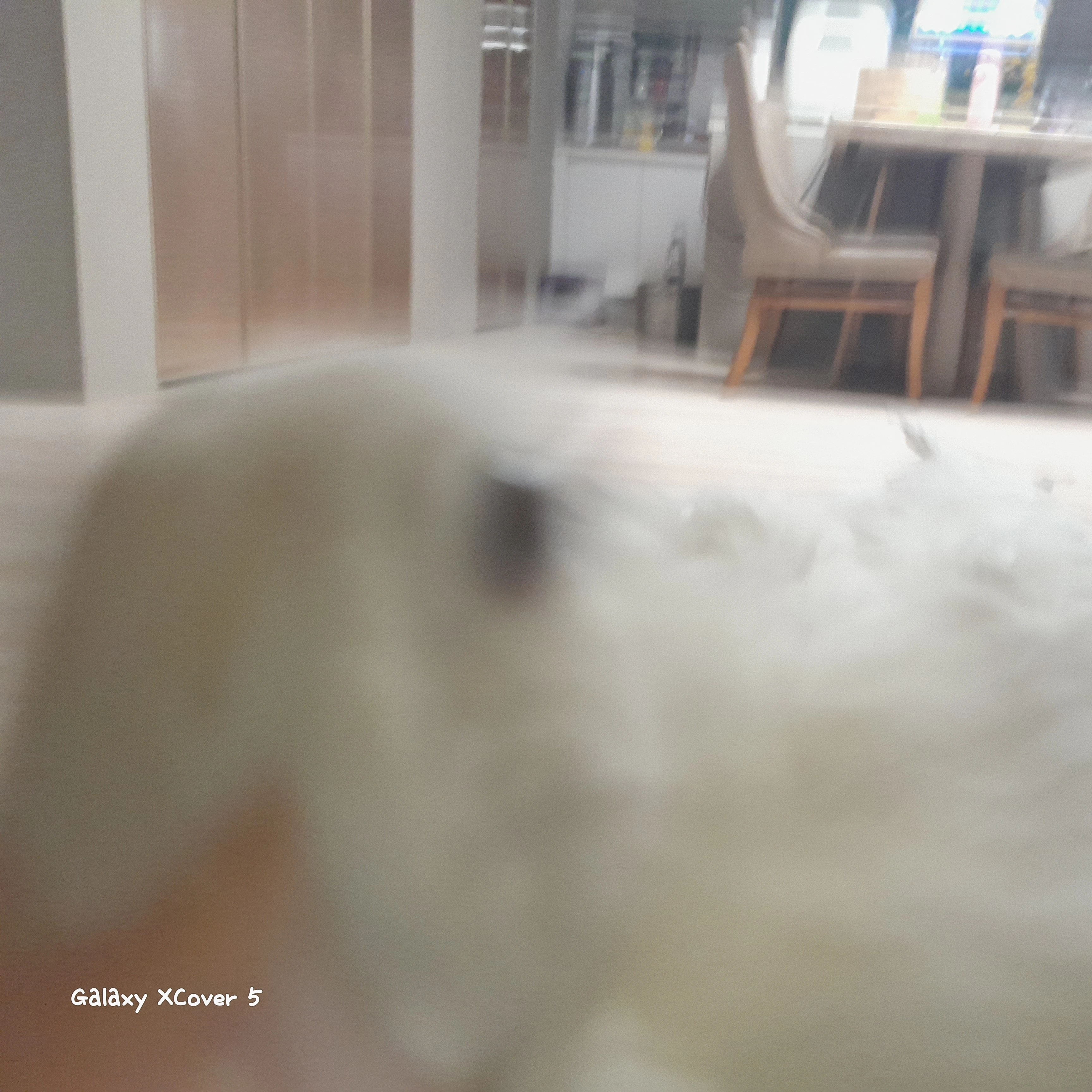오