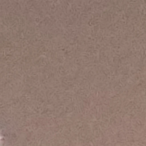 여러명