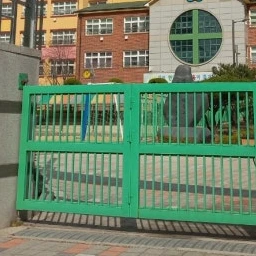 태권도부 코치님