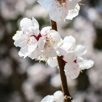 Profile image of 이용복