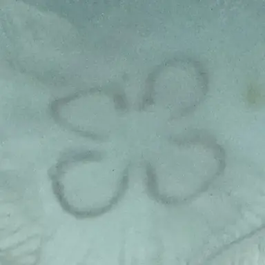 Profile image of 四つ葉のクラゲ