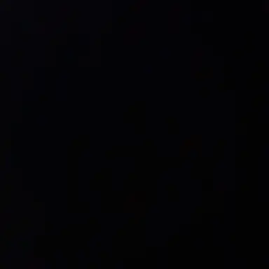 Profile image of 아벨 콕스